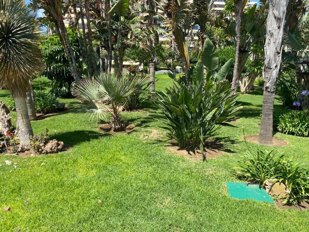 דירות טורמולינוס Edificio Playa Mar מראה חיצוני תמונה